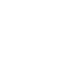 Comprehensive Career Support